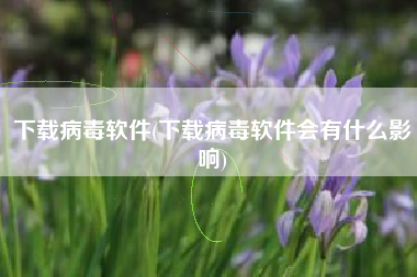 下载病毒软件(下载病毒软件会有什么影响)