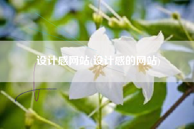 设计感网站(设计感的网站)