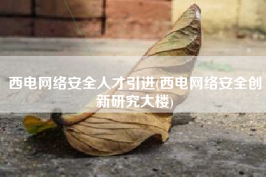 西电网络安全人才引进(西电网络安全创新研究大楼)