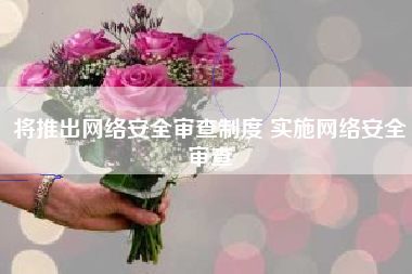 将推出网络安全审查制度 实施网络安全审查