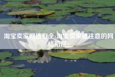 淘宝卖家网络安全(淘宝卖家要注意的网络陷阱)