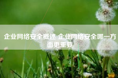 企业网络安全概述 企业网络安全哪一方面更重要