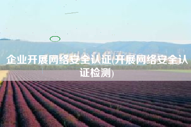 企业开展网络安全认证(开展网络安全认证检测)