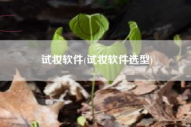 试妆软件(试妆软件选型)