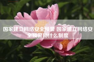 国家建立网络安全预警 国家建立网络安全预警和什么制度