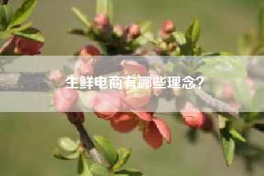生鲜电商有哪些理念？