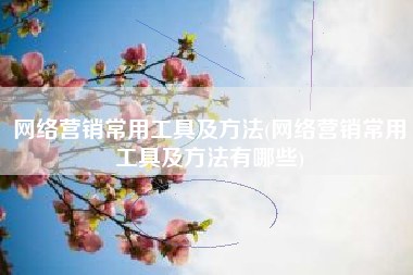网络营销常用工具及方法(网络营销常用工具及方法有哪些)