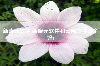 新晓元软件(新晓元软件和云熙软件哪个好)