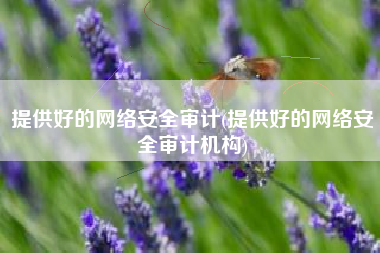 提供好的网络安全审计(提供好的网络安全审计机构)