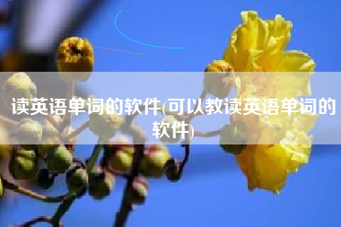 读英语单词的软件(可以教读英语单词的软件)