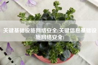 关键基础设施网络安全(关键信息基础设施网络安全)