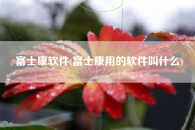 富士康软件(富士康用的软件叫什么)