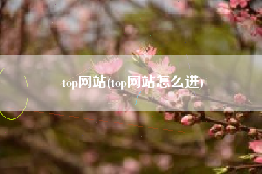 top网站(top网站怎么进)
