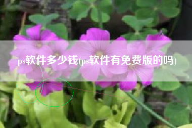 ps软件多少钱(ps软件有免费版的吗)