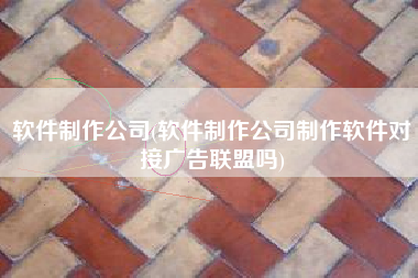 软件制作公司(软件制作公司制作软件对接广告联盟吗)