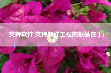支持软件(支持软件工程的根基在于)