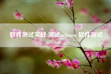 软件测试实战:测试webmsn 软件测试