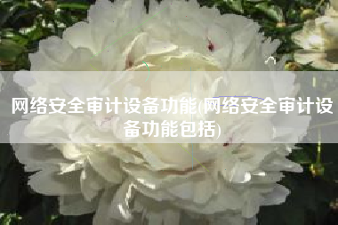 网络安全审计设备功能(网络安全审计设备功能包括)