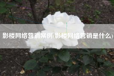 影楼网络营销案例(影楼网络营销是什么)