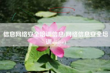 信息网络安全培训信息(网络信息安全培训ujiuye)