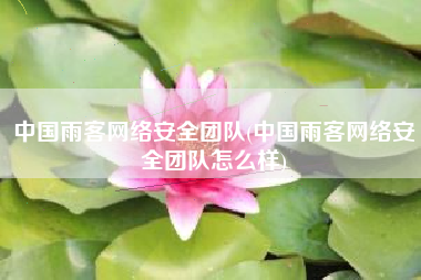中国雨客网络安全团队(中国雨客网络安全团队怎么样)