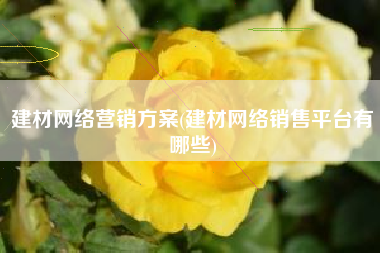 建材网络营销方案(建材网络销售平台有哪些)