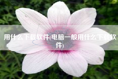 用什么下载软件(电脑一般用什么下载软件)