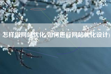 怎样做网站优化(如何进行网站优化设计)
