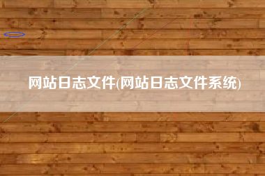 网站日志文件(网站日志文件系统)