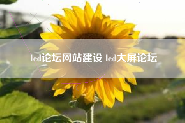 led论坛网站建设 led大屏论坛
