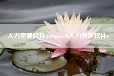 人力资源软件(peoplesoft人力资源软件)