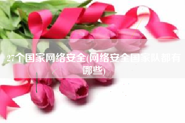 27个国家网络安全(网络安全国家队都有哪些)