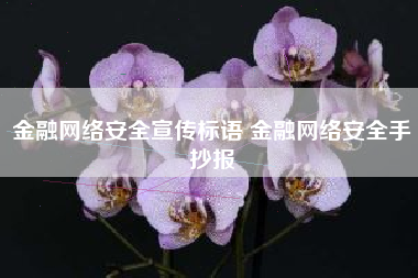 金融网络安全宣传标语 金融网络安全手抄报