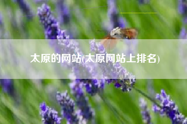 太原的网站(太原网站上排名)