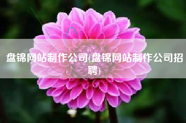 盘锦网站制作公司(盘锦网站制作公司招聘)