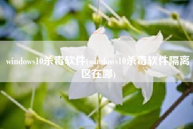 windows10杀毒软件(windows10杀毒软件隔离区在哪)