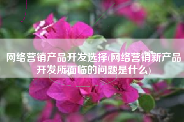 网络营销产品开发选择(网络营销新产品开发所面临的问题是什么)
