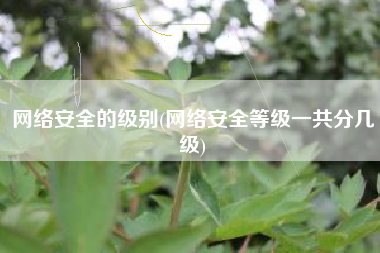 网络安全的级别(网络安全等级一共分几级)