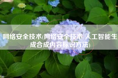 网络安全技术(网络安全技术 人工智能生成合成内容标识方法)