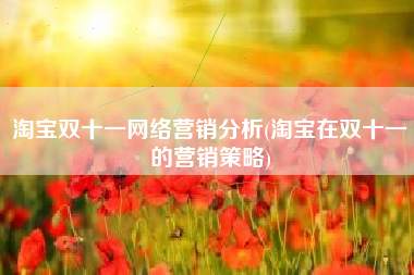淘宝双十一网络营销分析(淘宝在双十一的营销策略)
