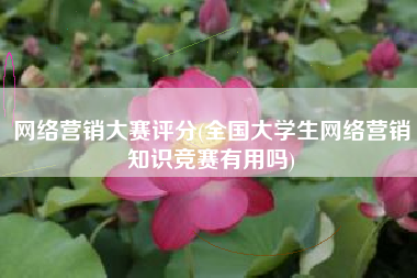 网络营销大赛评分(全国大学生网络营销知识竞赛有用吗)