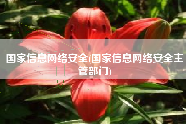 国家信息网络安全(国家信息网络安全主管部门)