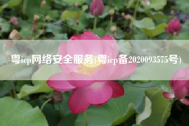 粤icp网络安全服务(粤icp备2020093575号)