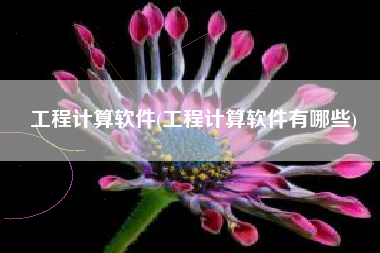 工程计算软件(工程计算软件有哪些)