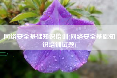 网络安全基础知识培训(网络安全基础知识培训试题)