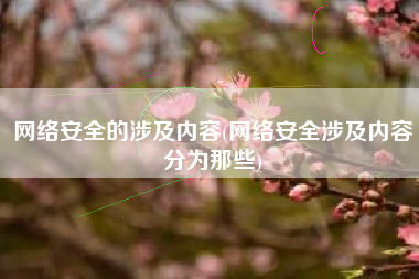 网络安全的涉及内容(网络安全涉及内容分为那些)