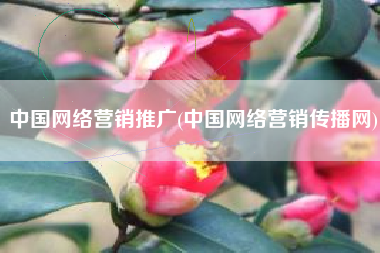中国网络营销推广(中国网络营销传播网)