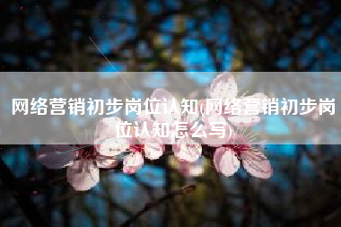 网络营销初步岗位认知(网络营销初步岗位认知怎么写)