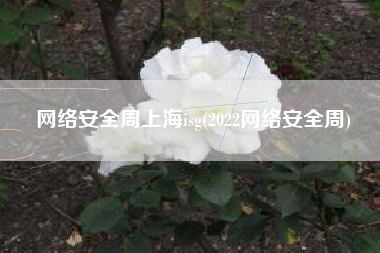 网络安全周上海isg(2022网络安全周)