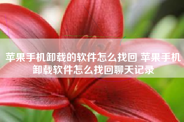 苹果手机卸载的软件怎么找回 苹果手机卸载软件怎么找回聊天记录